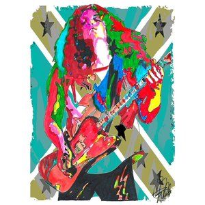 Allen Collins Lynyrd Skynyrd Guitar Rock Music Poster Print Wall Art 18x24